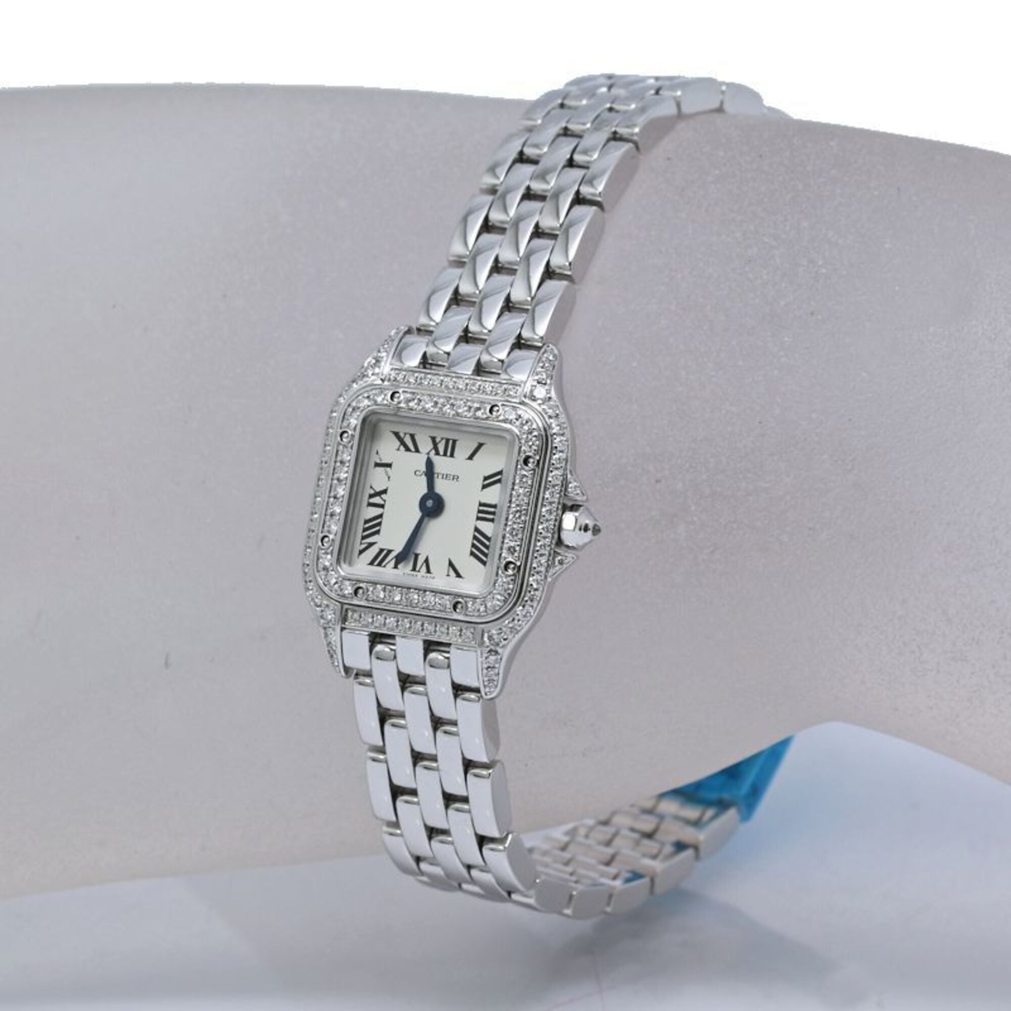 Cartier Cartier WJPN0019 Silver Dial 19mm Watch