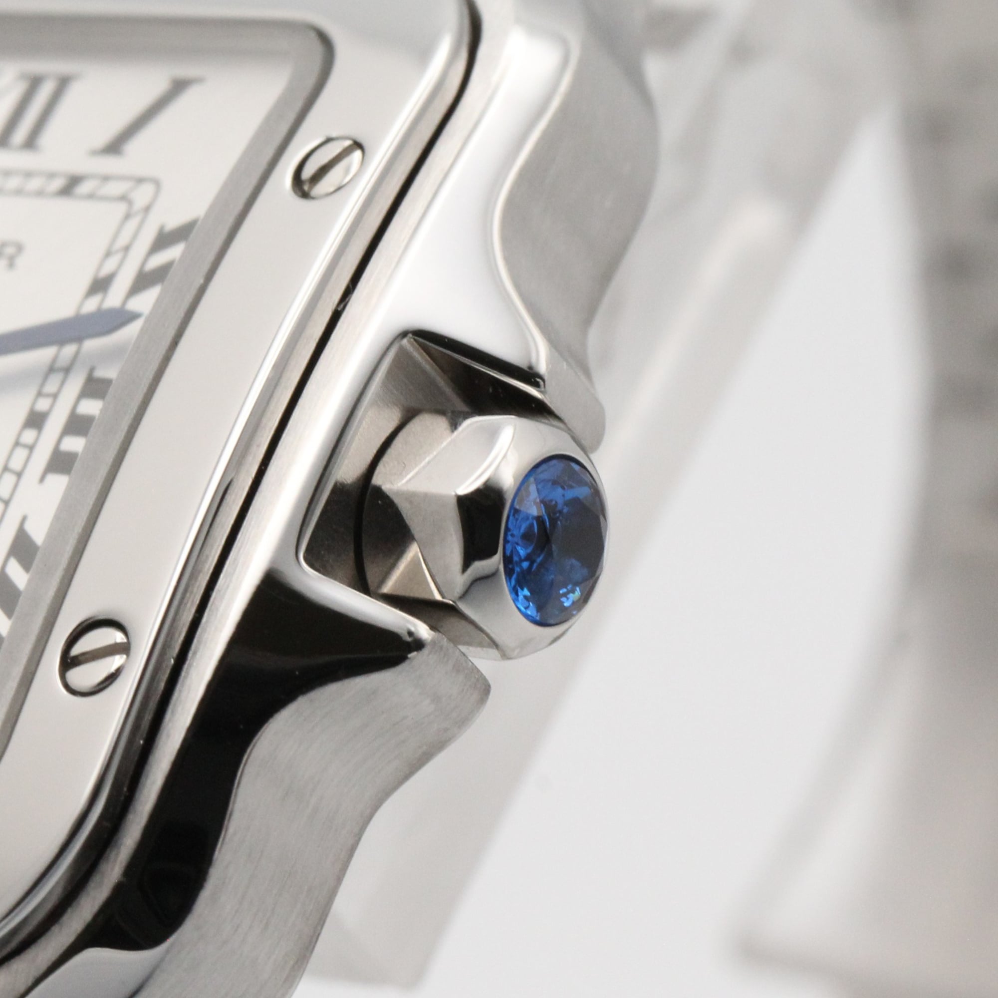 Cartier Santos WSSA0082 Silver Dial Stainless steel 27mm Watch