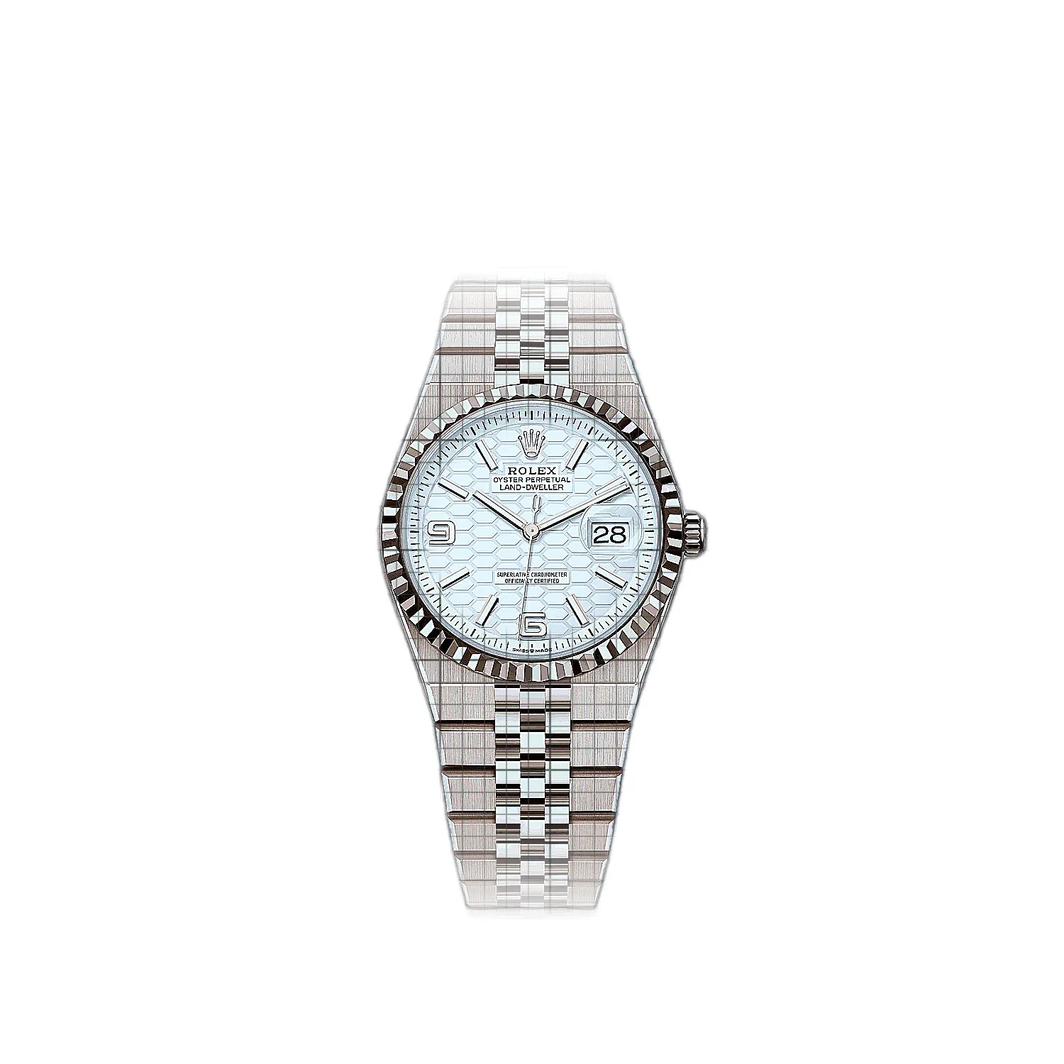 Rolex Land-Dweller 36
