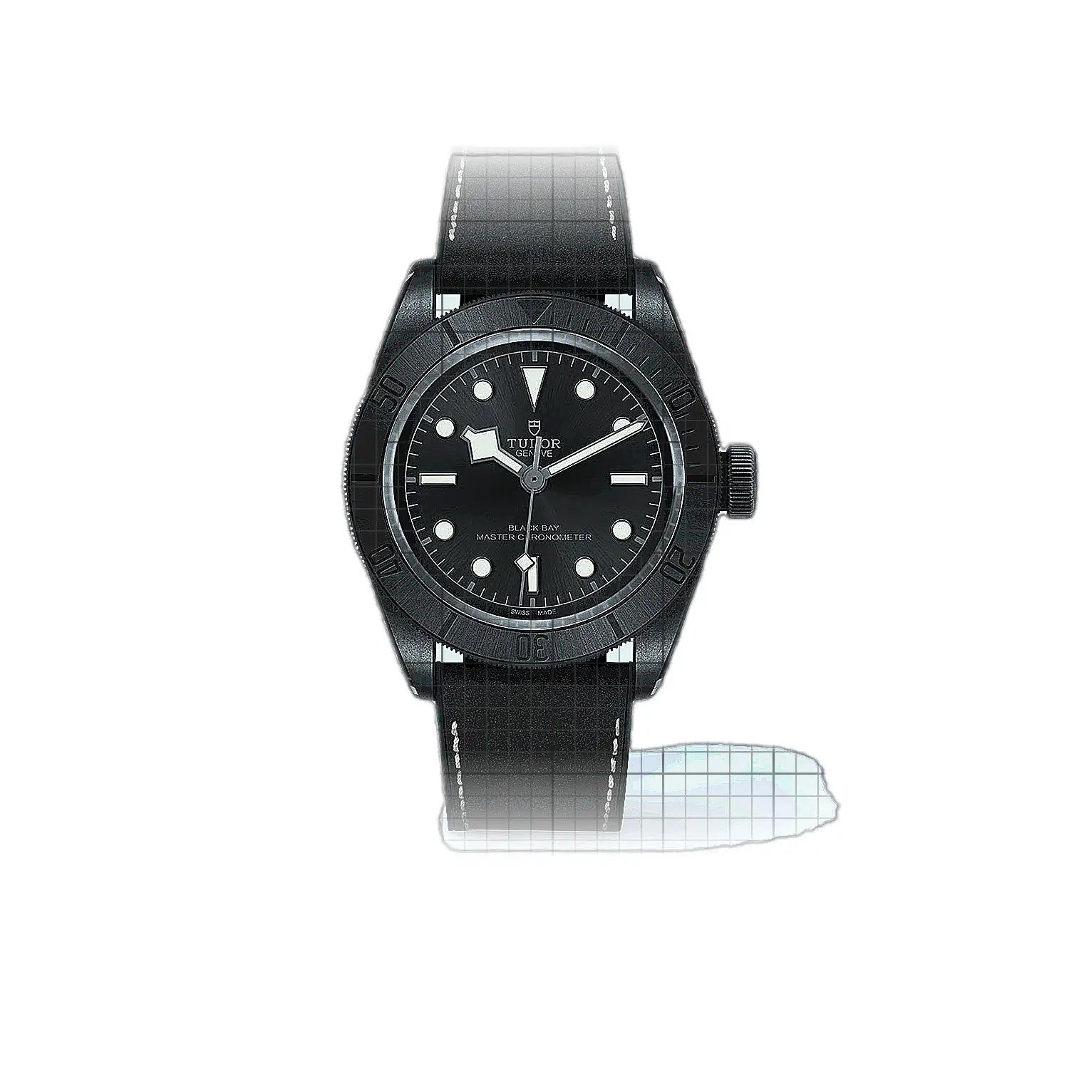 Tudor Black Bay 79210CNU0001