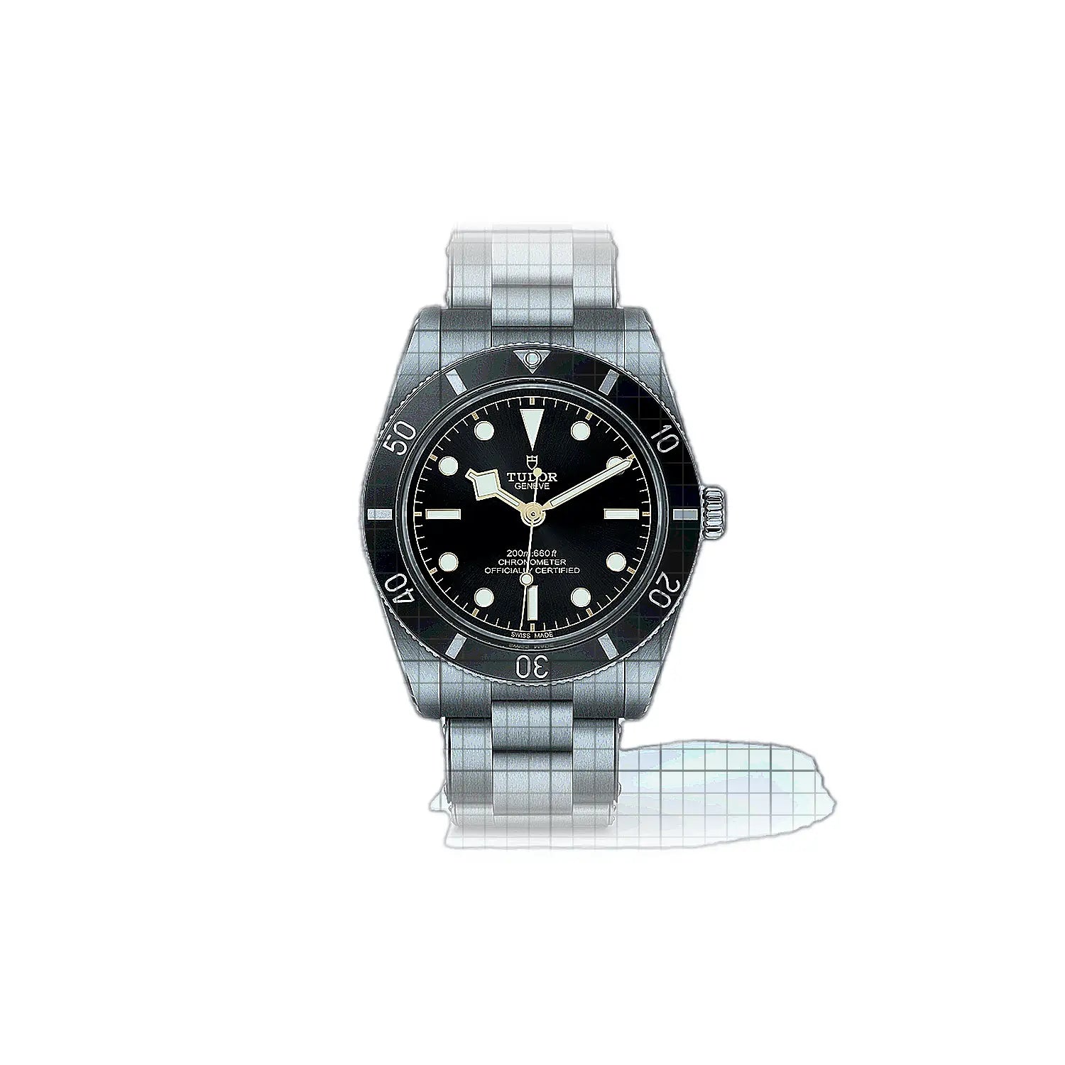 Tudor Black Bay M79000N0001