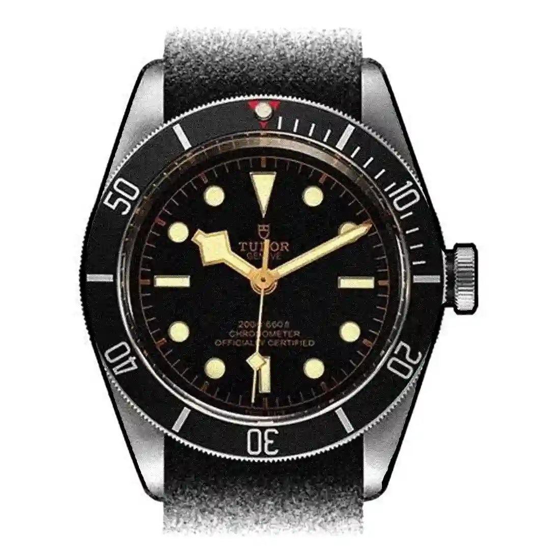Tudor Black Bay Automatique Noir 41mm