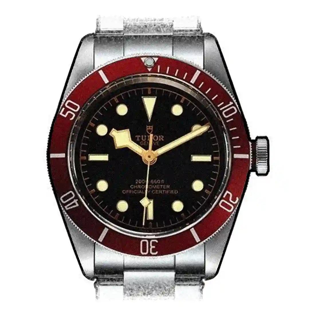 Tudor Black Bay Automatique Noir 41mm