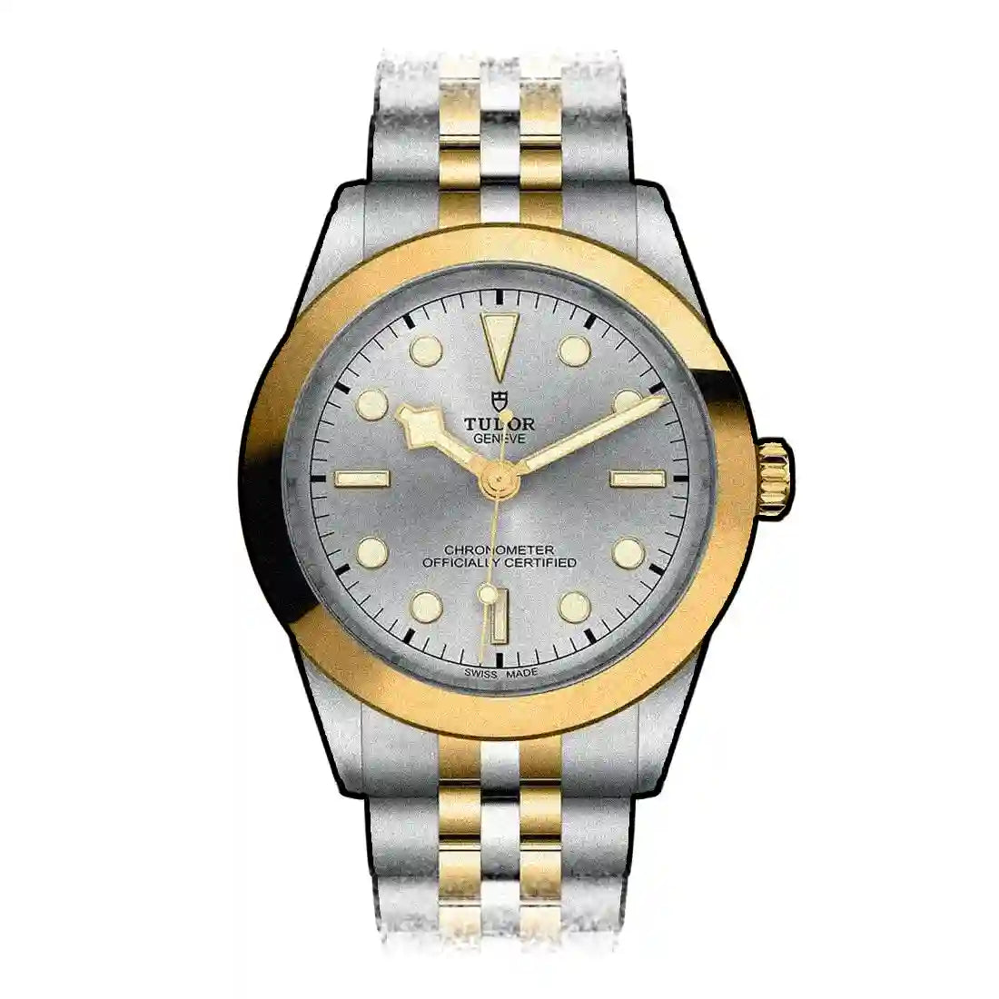 Tudor Black Bay Automatic Silver 39mm