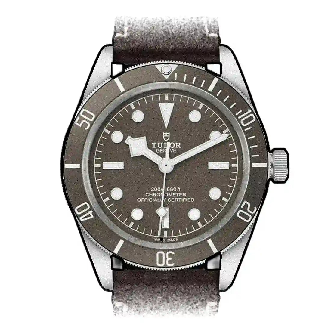 Tudor Black Bay Automatique Gris 39mm