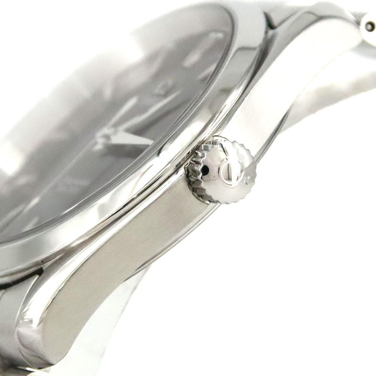 Omega Seamaster Aqua Terra 2517.5 Black Dial 39mm Watch