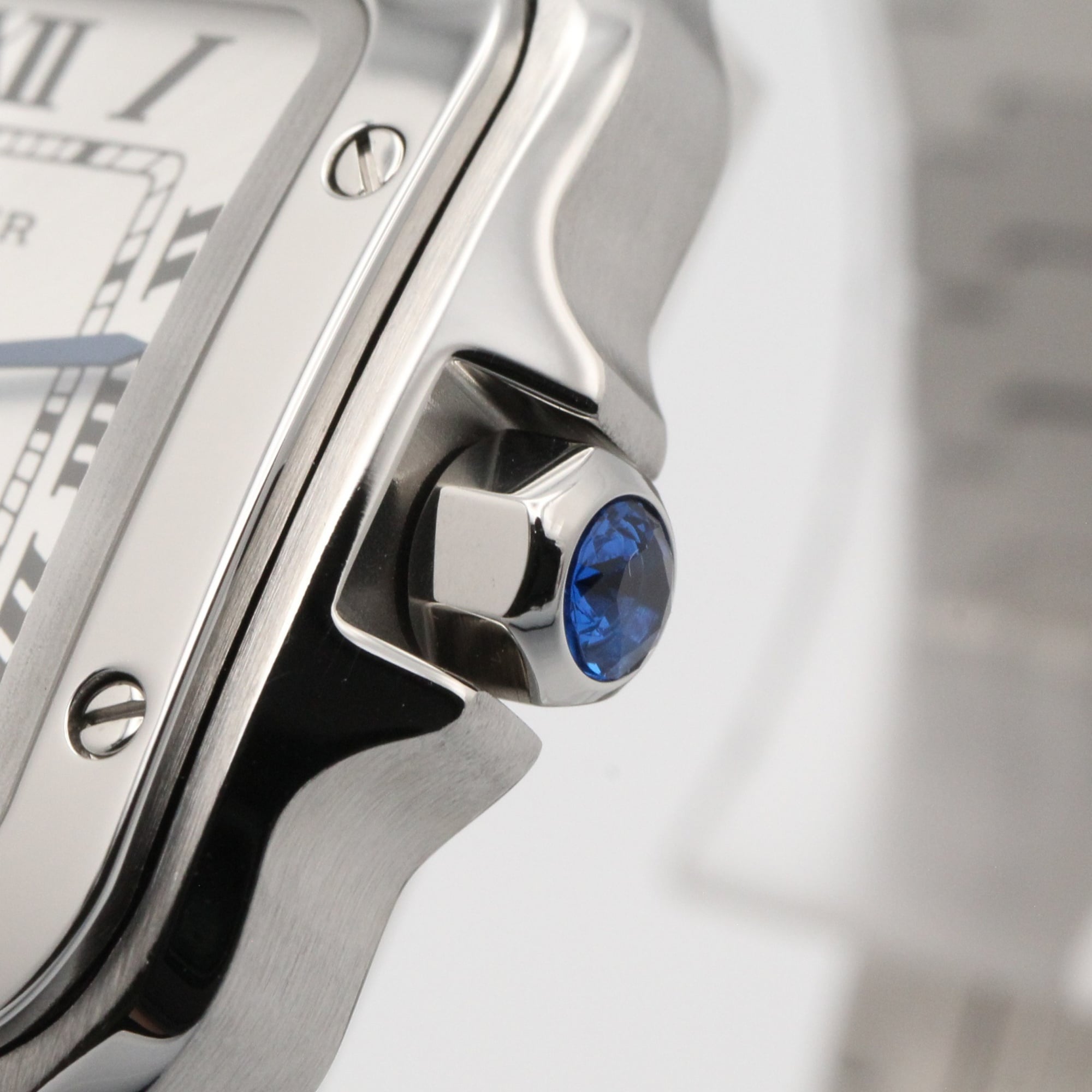 Cartier Santos WSSA0082 Silver Dial Stainless steel 27mm Watch