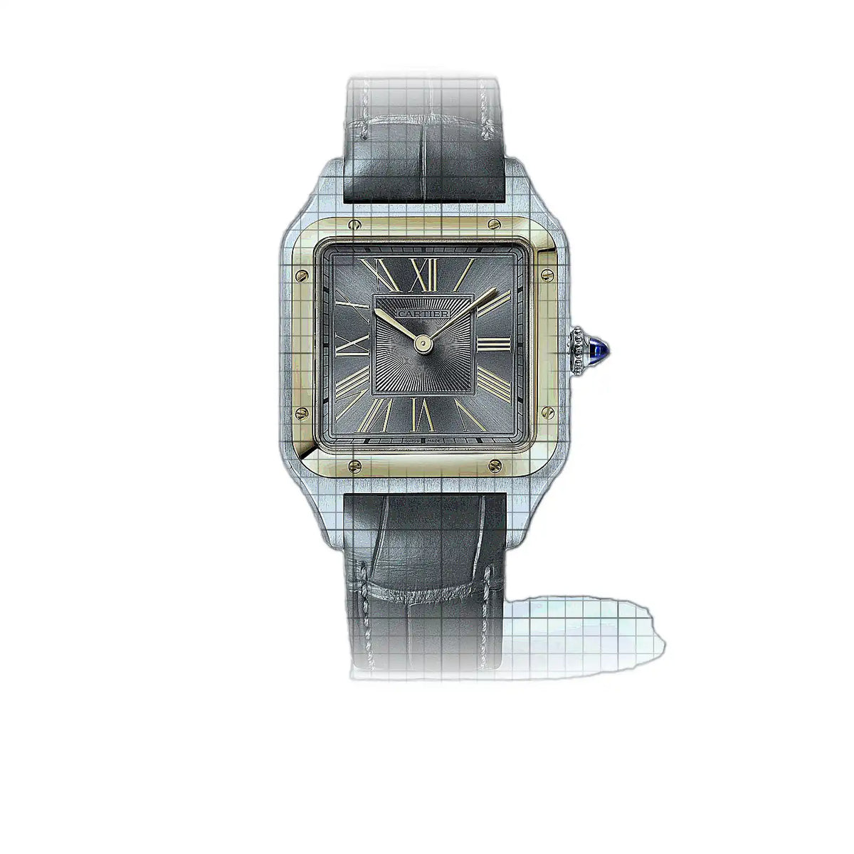 Montre Cartier Santos W2SA0036 Gris Cadran en or jaune, acier inoxydable, 43 mm