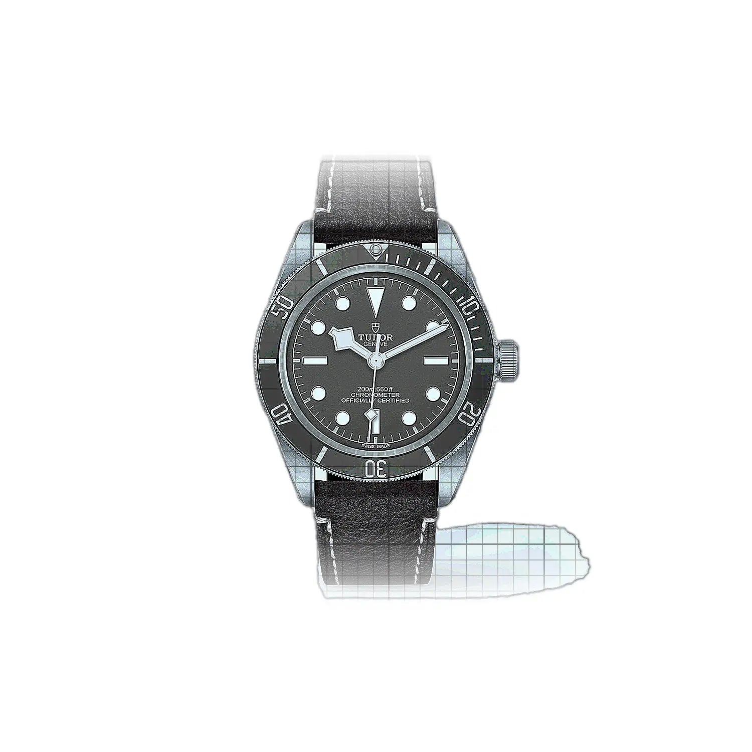 Tudor Black Bay M79010SG0001