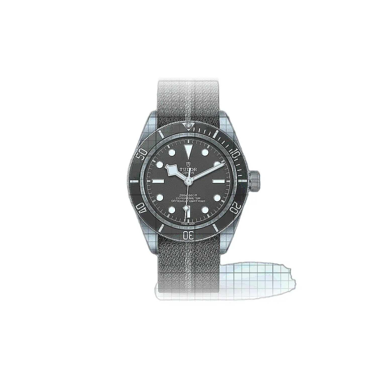 Tudor Black Bay M79010SG0002