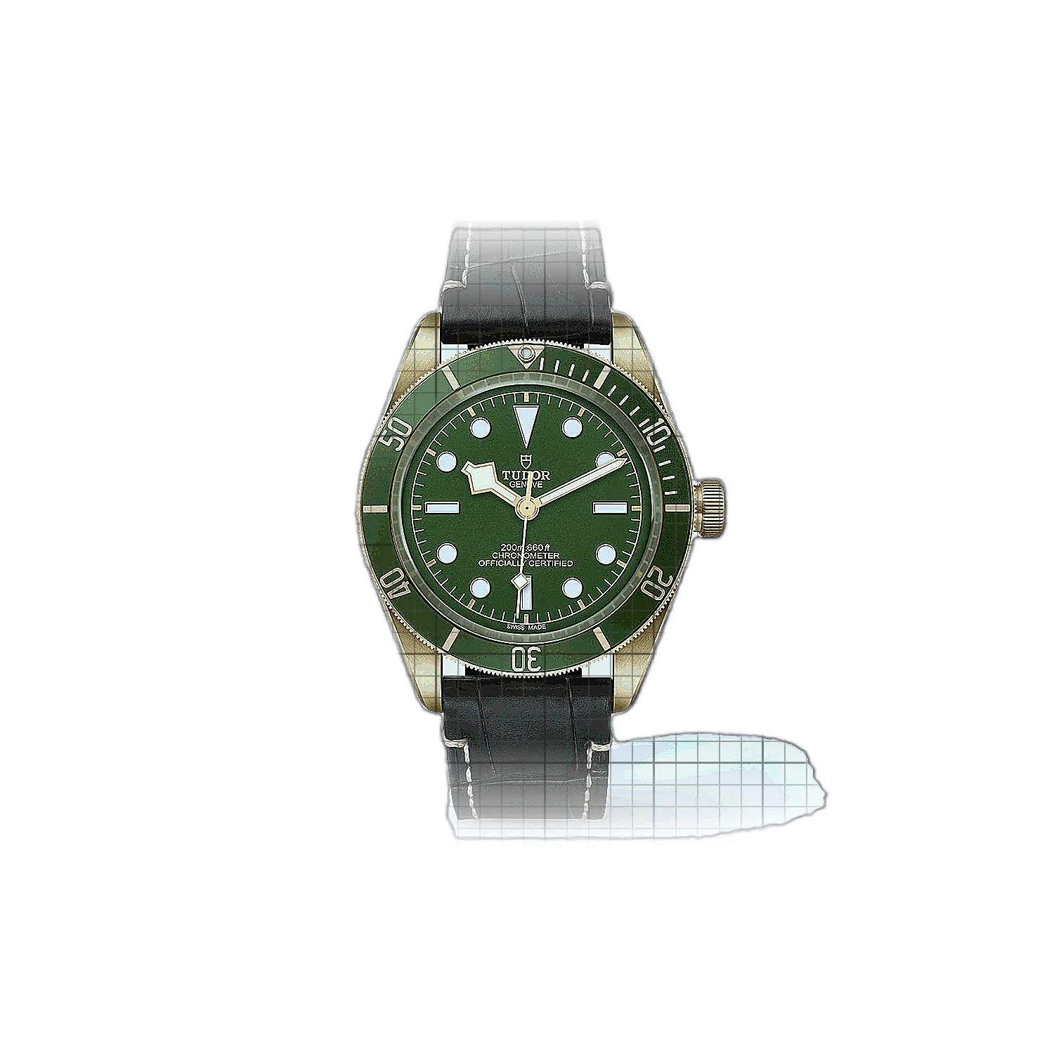 Tudor Black Bay M79018V0001