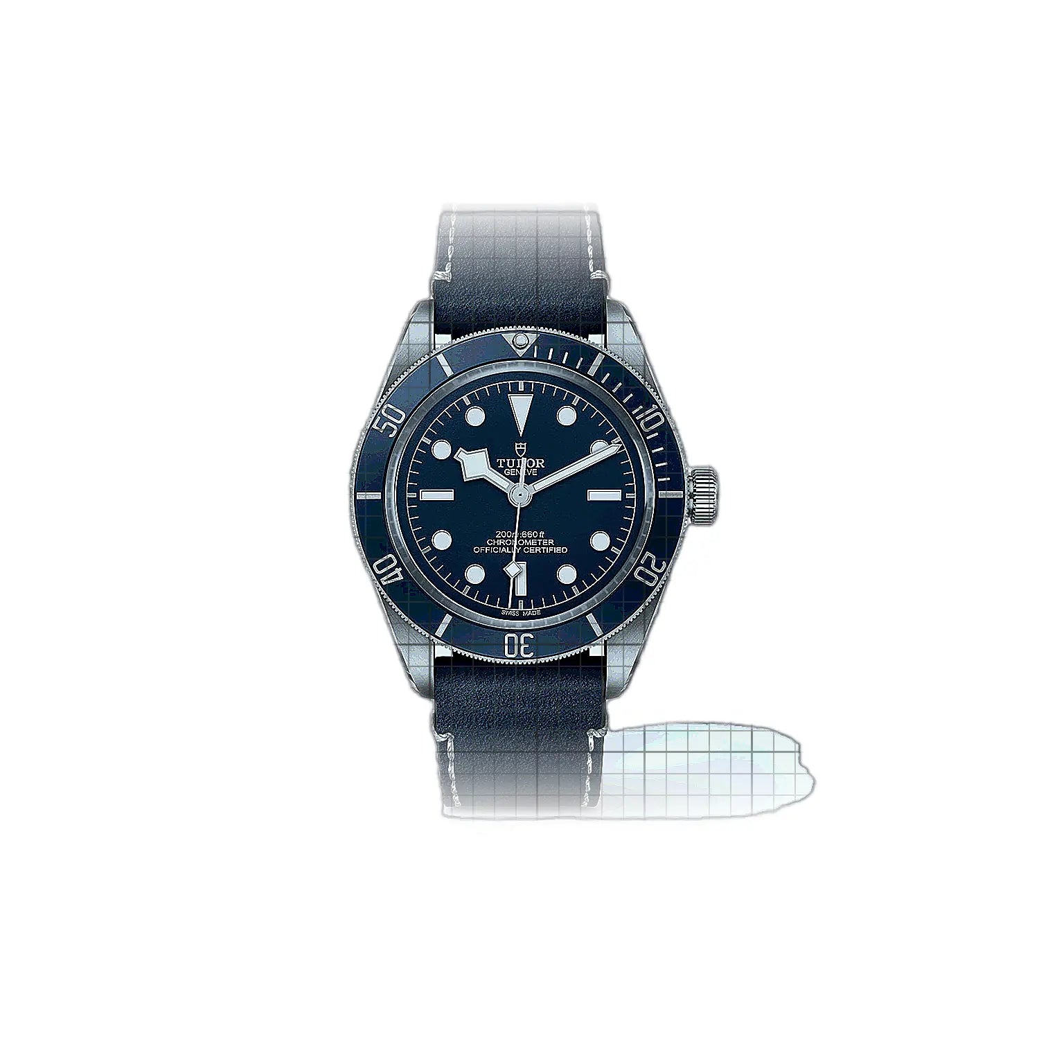 Tudor Black Bay M79030B0002