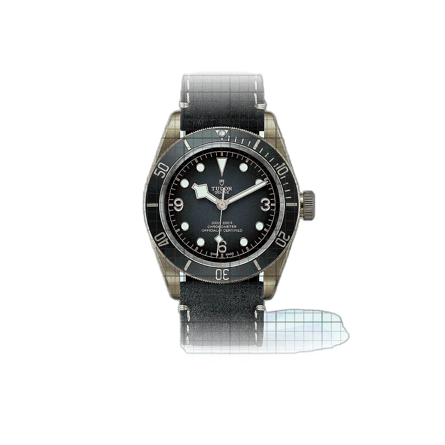 Tudor Black Bay M79250BA0001