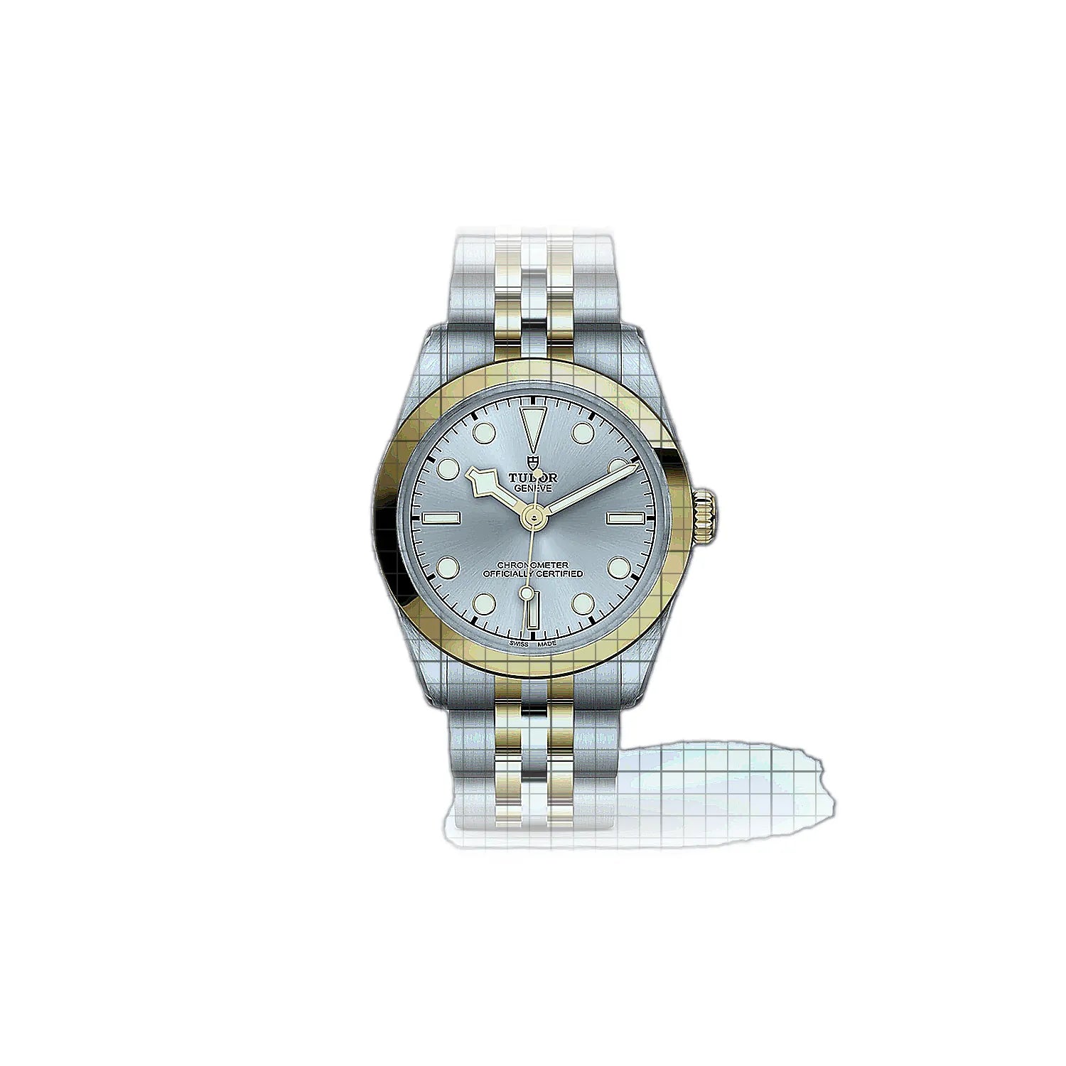 Tudor Black Bay M796030002