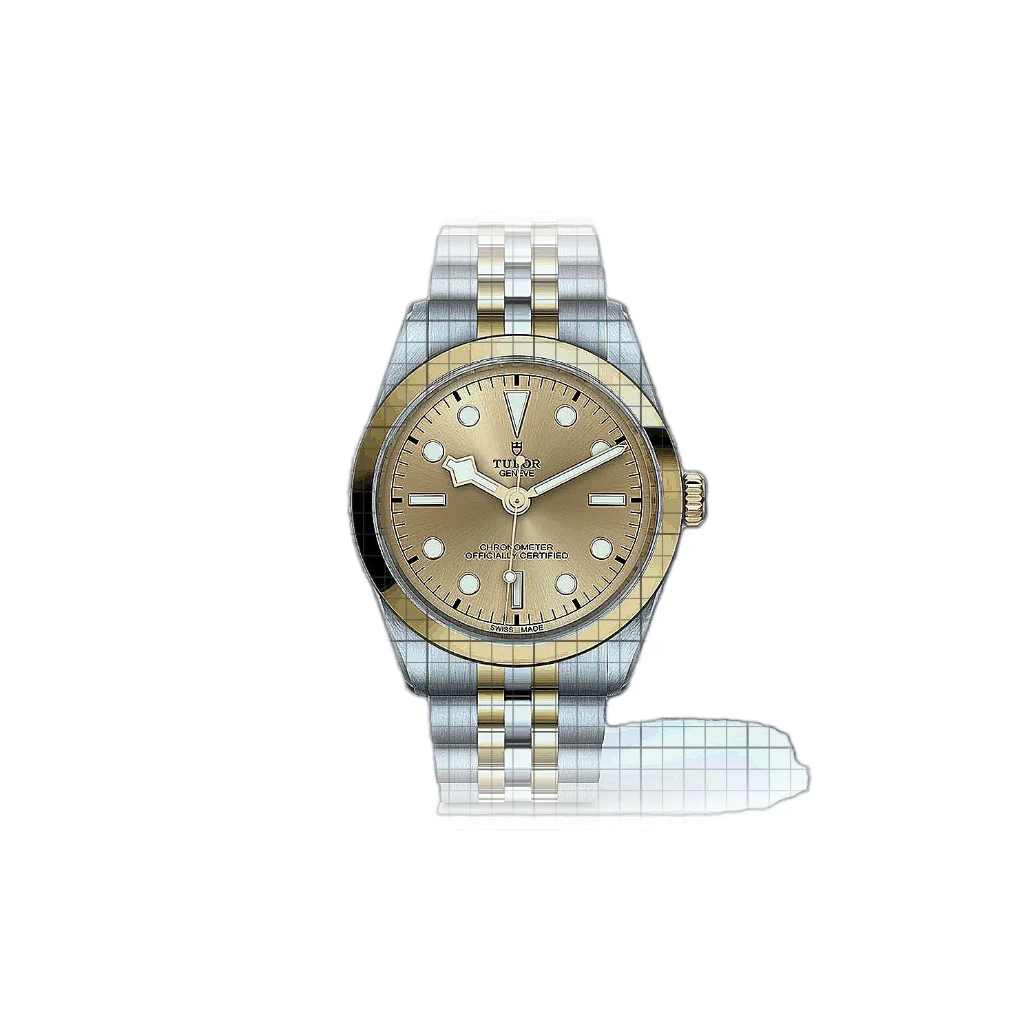 Tudor Black Bay M796430005