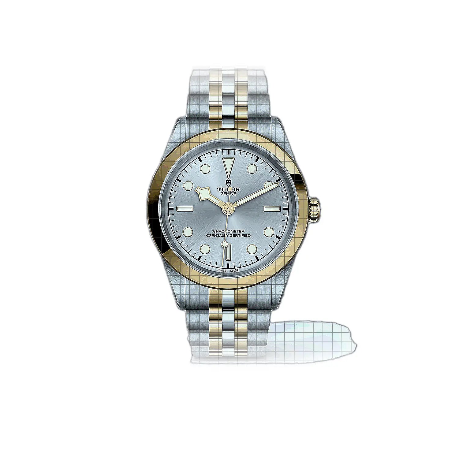 Tudor Black Bay M796830002