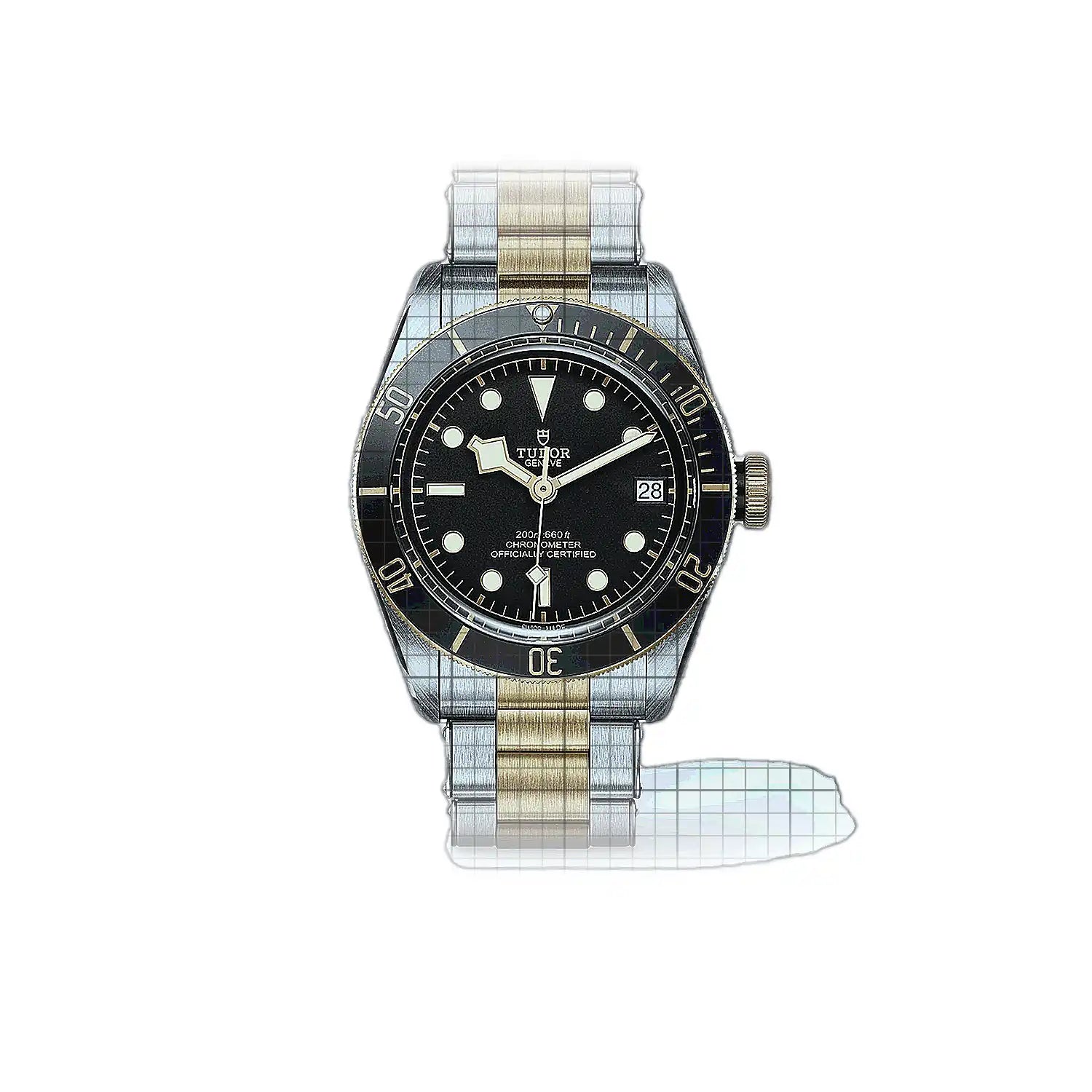 Tudor Black Bay M79733N0008
