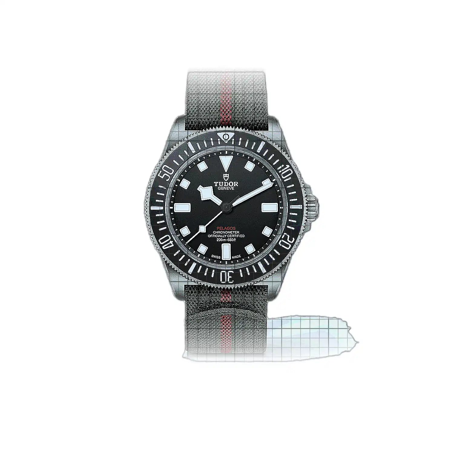 Tudor Pelagos M25717N0001