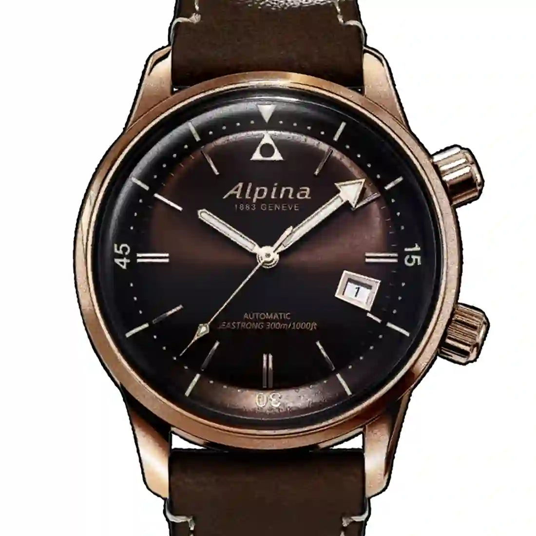 Alpina Seastrong Automatic Bruin 42 mm