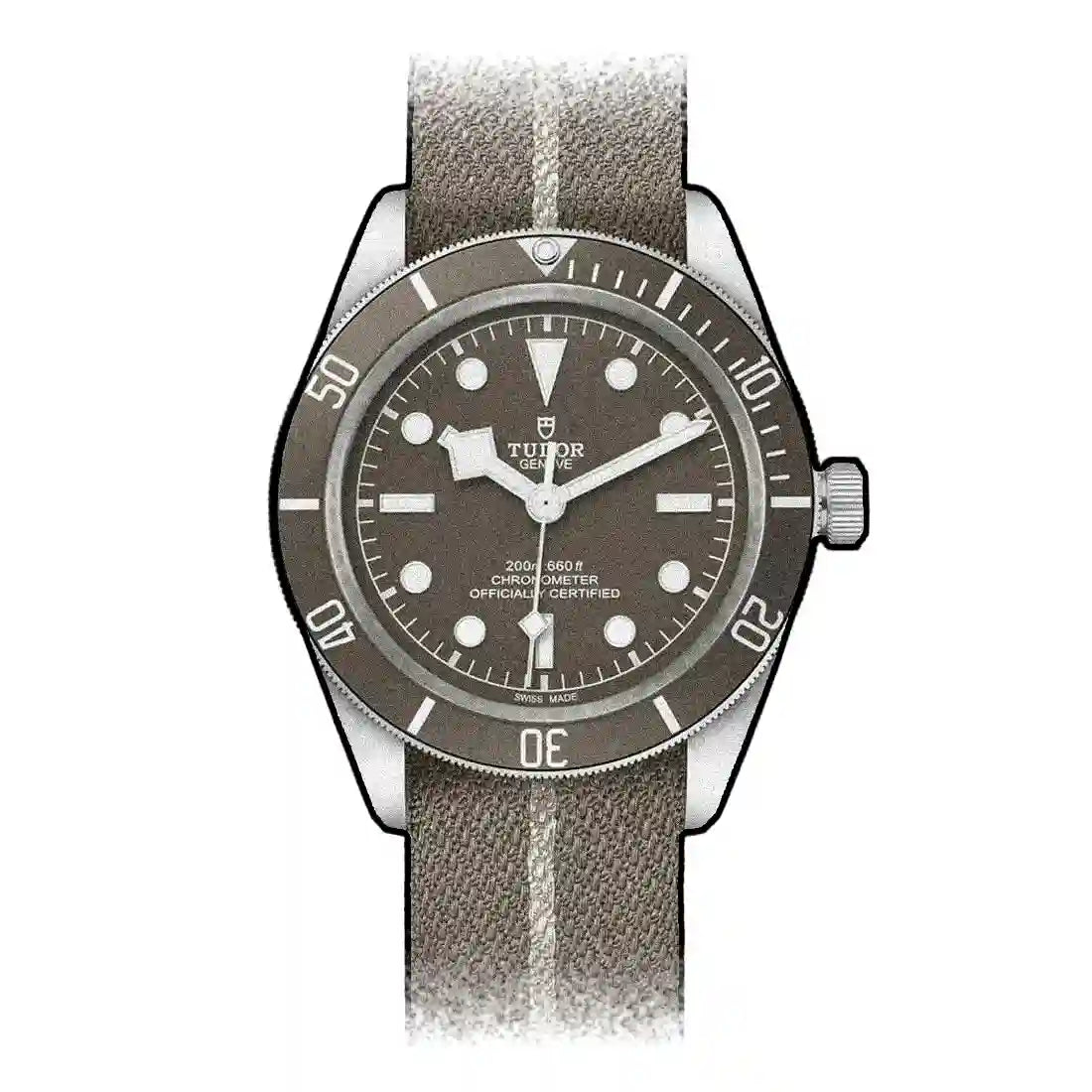 Tudor Black Bay Automatic Grey 39 mm